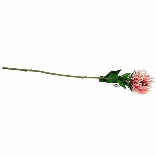Protea Künstlich Rosa 73cm