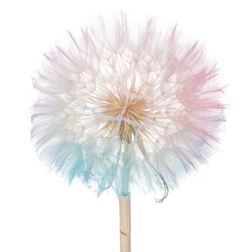 Pusteblume künstliche Dekoration eleganter Hingucker für dein Zuhause Blumenform 50cm 4St