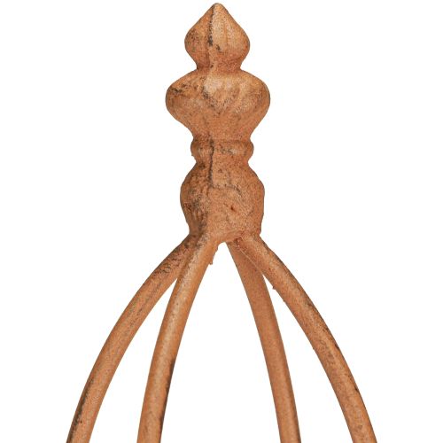 Floristik24 Rankhilfe Metall Rost Optik Obelisk 69/86cm Set 2St