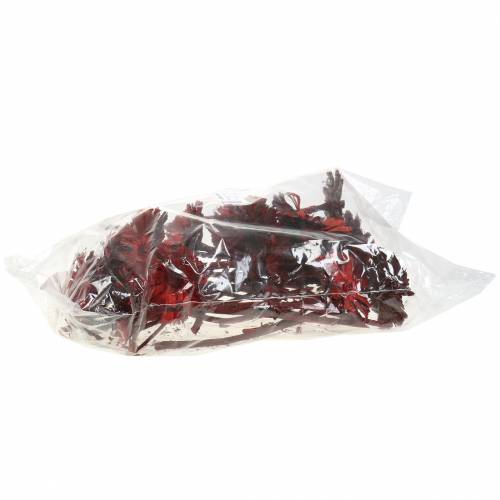 Repens Rosette Rot 8cm - 9cm 25 St | Floristik24.de