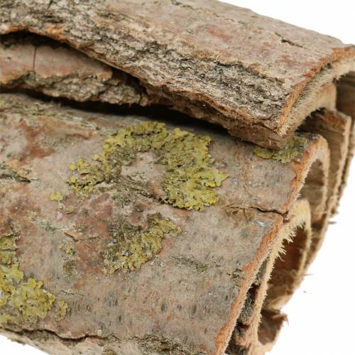 Floristik24 Baumrinde zum Basteln Natur 13cm 1kg