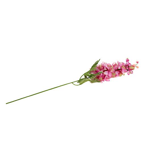 Floristik24 Rittersporn Pink 60cm
