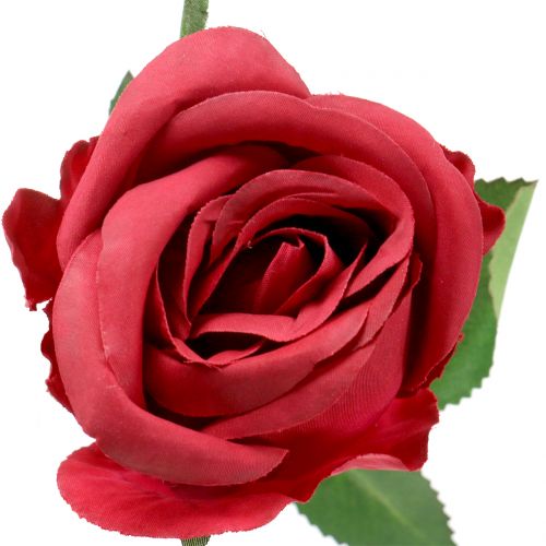 Rose Rot 44cm 6St