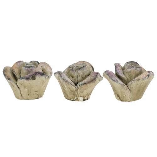 Floristik24 Beton-Rose Grau, Violett Ø7,7 H5,5cm 3 St
