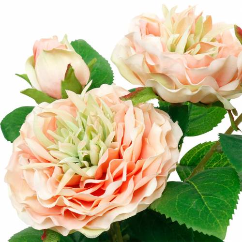 Floristik24.de Deko-Rose im Topf, Romantische Seidenblumen, Rosa  Pfingstrose-11894