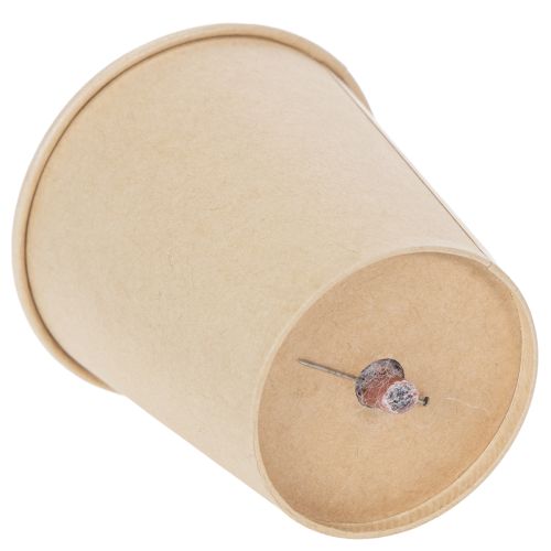 Artikel Rosenköpfe konserviert Romantisches Geschenk lang haltbare Rosen für besondere Anlässe 5cm 6St