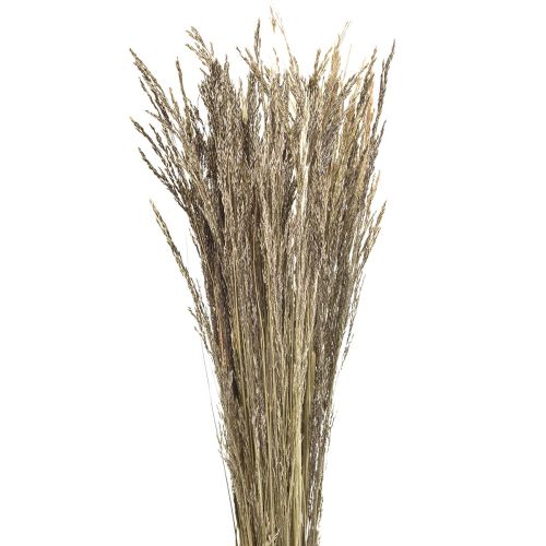 Artikel Straußgras Agrostis Capillaris Trockengräser Natur 60cm 80g