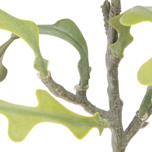 Artikel Sägeblattkaktus Künstlich Epiphyllum anguliger L68cm 3 St