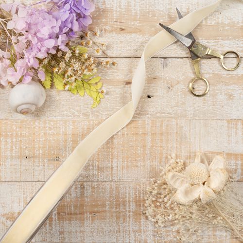 Geschenkband Elegantes Samtband für Geschenke und Blumen 20mm 10m | Floristik24.de