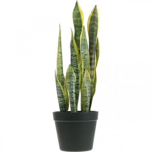 Floristik24 Sansevieria, Kunstblume, Bogenhanf im Topf H50cm Ø14cm