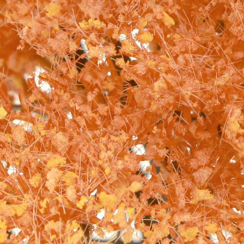 Artikel Schafgarbe Kunstblumen Achillea künstlich Orange 30cm 6 St