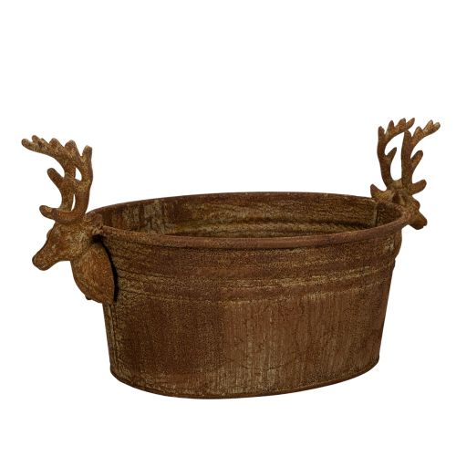 Dekoschale Rentierkopf oval Rost rustikal 41cm kaufen | Floristik24.de