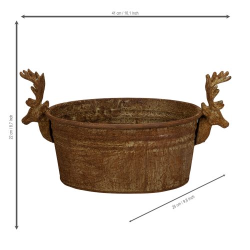 Dekoschale Rentierkopf oval Rost rustikal 41cm | Floristik24.de