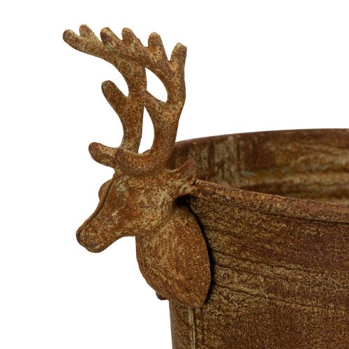 Dekoschale Rentierkopf oval Rost rustikal 41cm | Floristik24.de