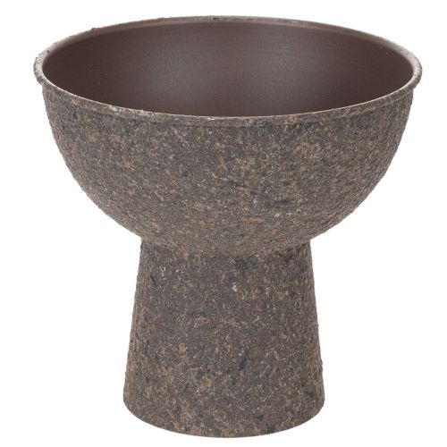 Schale für Pflanzen rund mit Sockel 18cm kaufen | Floristik24.de