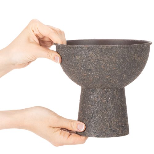Schale für Pflanzen rund mit Sockel 18cm | Floristik24.de