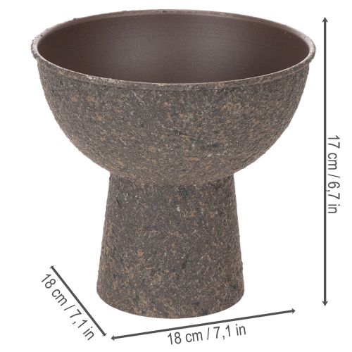 Schale für Pflanzen rund mit Sockel 18cm | Floristik24.de