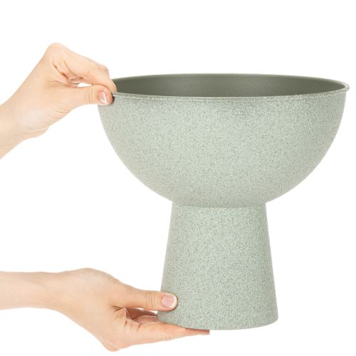Schale mit Standfuß für Pflanzen Dekoschale 25cm | Floristik24.de