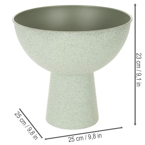 Schale mit Standfuß für Pflanzen Dekoschale 25cm | Floristik24.de