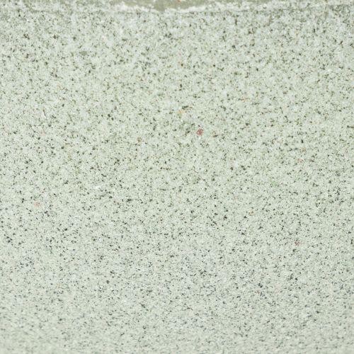 Schale mit Standfuß für Pflanzen Dekoschale 25cm | Floristik24.de
