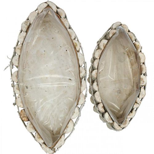 Floristik24 Pflanzschale, Pflanzkasten Holz, Jardiniere L37,5/28cm H10/9cm 2er-Set