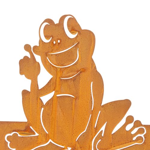 Schild mit Spruch Frosch Metallschild Garten Edelrost 38cm | Floristik24.de