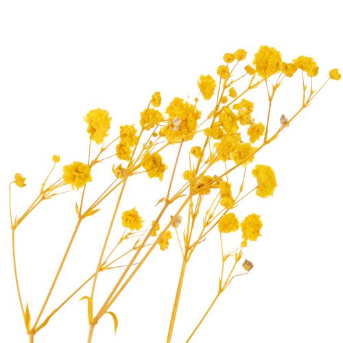 Artikel Trockenblumenstrauß Schleierkraut Dekorative Blütenzweige passend zur saisonalen Tischdekoration 70cm