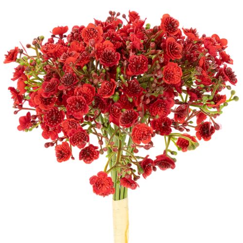 Kunst Schleierkraut rot Bouquet als Blumendeko 30cm 10St | Floristik24.de