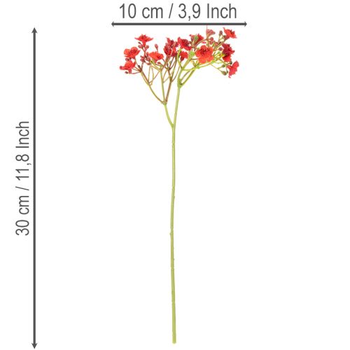 Kunst Schleierkraut rot Bouquet als Blumendeko 30cm 10St | Floristik24.de