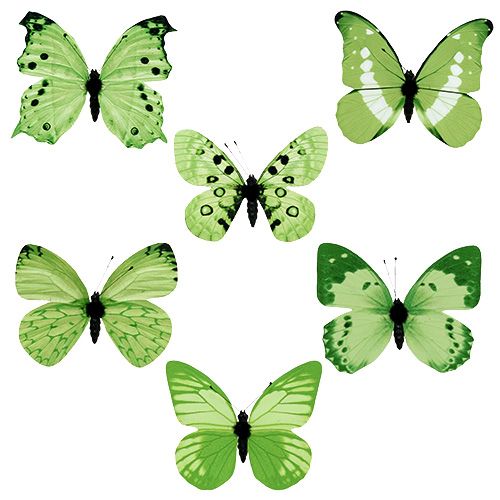 Floristik24 Schmetterling Grün am Clip 10cm - 11cm 6St