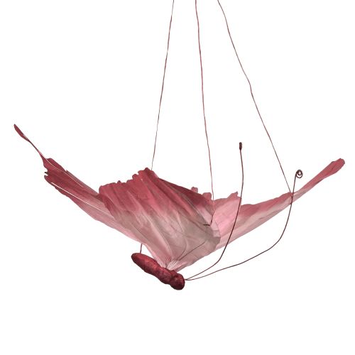 Artikel Schmetterlingsdeko Hängend Groß Elegante Dekoration zur Wandaufhängung 50cm 2 St