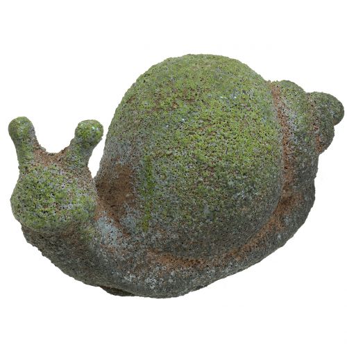Floristik24 Gartenfigur Schnecke bemoost 31cm x 17cm H17cm
