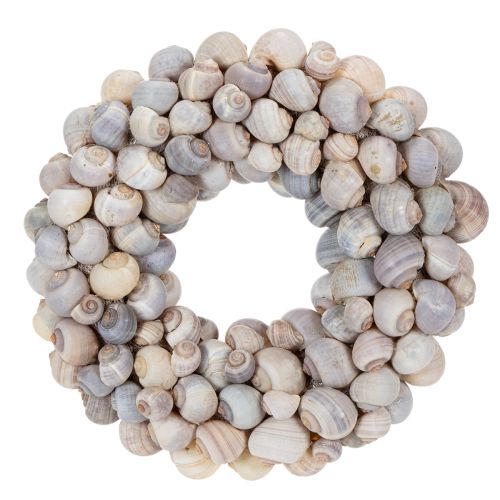 Floristik24 Schneckenkranz zum Hängen Deko Kranz Maritim Nathai Ø35cm