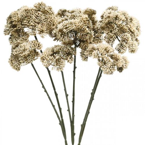 Floristik24 Sedum Kunstblume Fetthenne Creme Blumendeko Herbst 70cm 3St