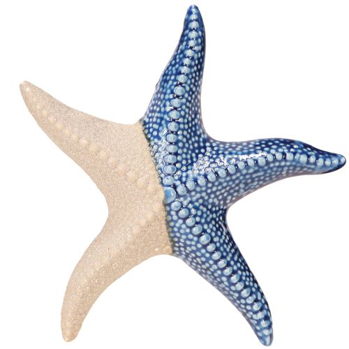 Seestern Porzellan Sand Blau Tischdeko Maritim Ø15cm 2St