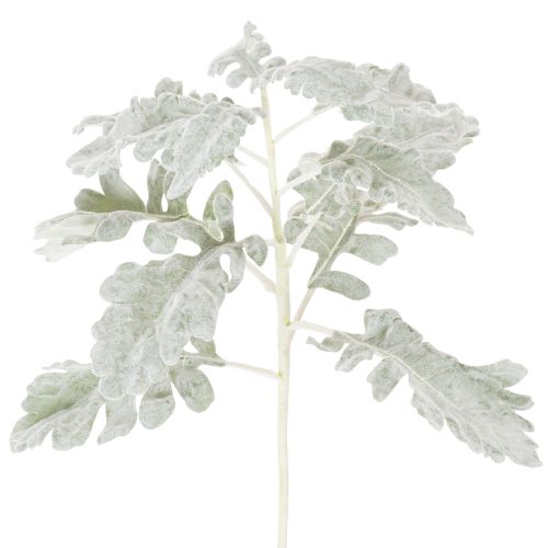 Künstlicher Senecio Zweig Silberblatt detailreich gearbeitet 45cm 3St | Floristik24.de