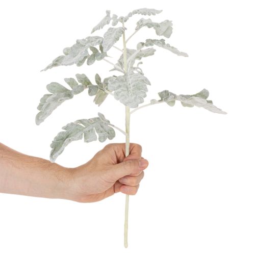 Künstlicher Senecio Zweig Silberblatt detailreich gearbeitet 45cm 3St | Floristik24.de