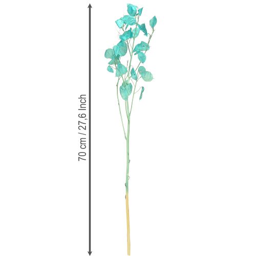 Artikel Silberblatt getrocknet Mondviole Lunaria Hellblau 65-70cm 20g