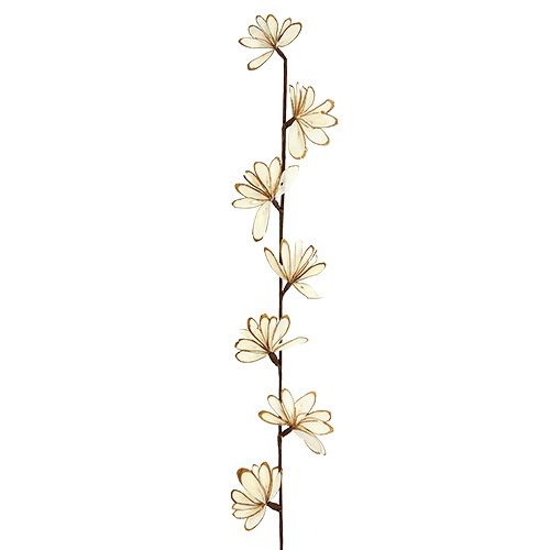 Floristik24 Sola Chips Sunny Stick Braun, Weiß 6 St.