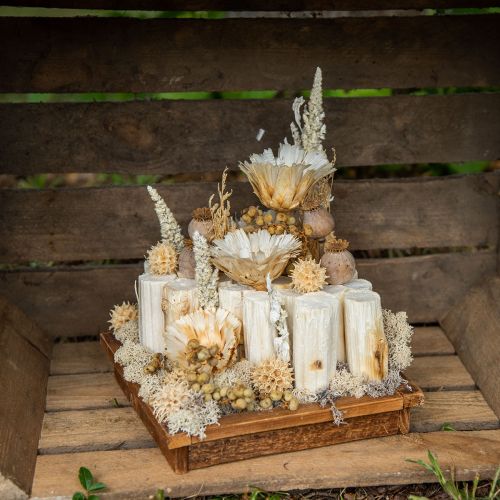 Floristik24 Sonnenblumenstiel gebleicht 10cm 24 St