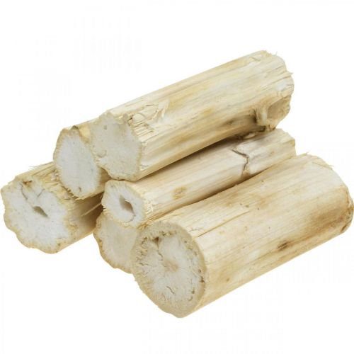 Sonnenblumenstiel gebleicht 10cm 24 St