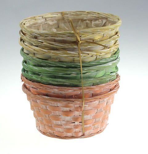 Floristik24 Spanschale rund mehrfarbig 8 St. Ø 20cm