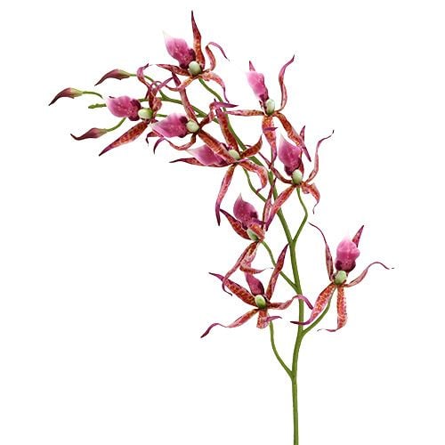 Spinnenorchideen Pink-Orange 108cm 3St