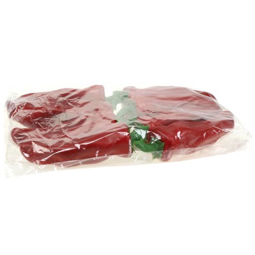 Floristik24 Spitzpaprika Rot 14cm 8St