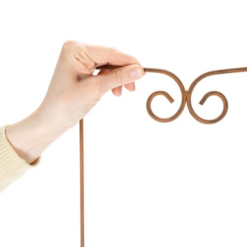 Artikel Rankgitter Rankhilfe Geschwungenes Deko-Element für Beete und Pflanztöpfe 75cm