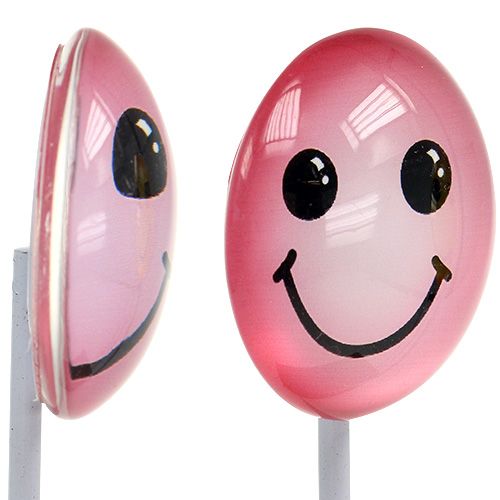 Floristik24 Deko Emoticon&reg;am Stab bunt sortiert 3,5cm 8St