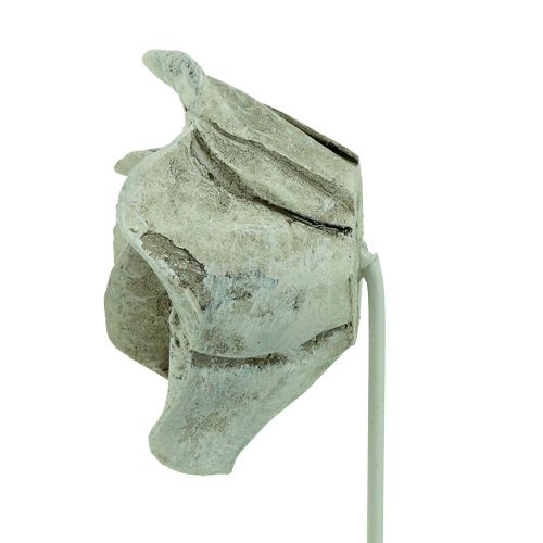 Floristik24 Stecker Rosen sort. Ø5,5cm L19cm 4 St