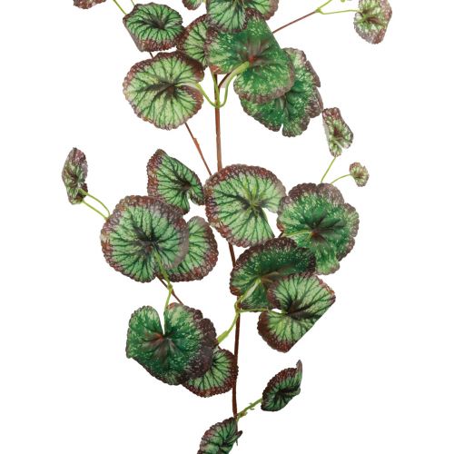 Floristik24.de Hängende Grünpflanze künstlich Blatthänger 58cm-230222-42 Stränge 5
