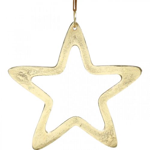 Floristik24 Weihnachtsanhänger, Sterndeko für den Advent, Dekostern Golden 14×14cm