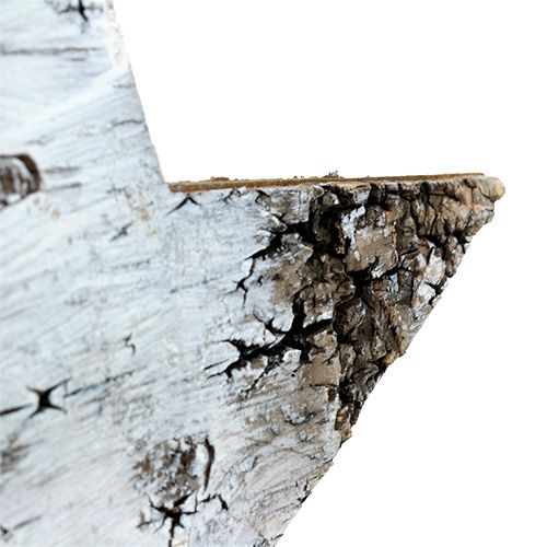 Floristik24 Sterne aus Birkenrinde Weiß 29cm 3St